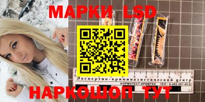 трава Кандалакша