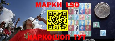 трава Кандалакша
